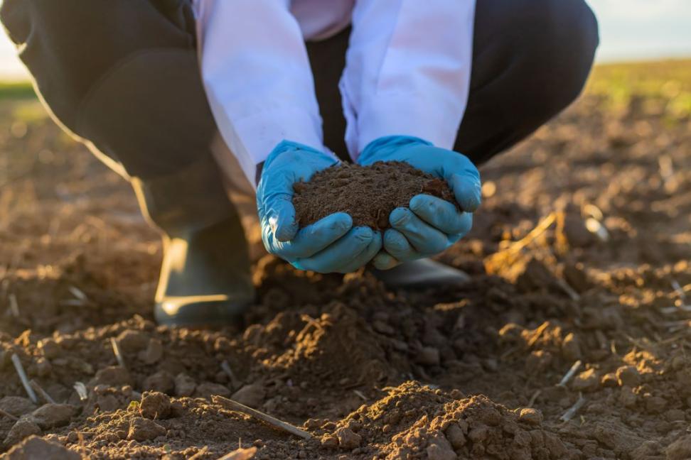 field-soil-samples-for-analysis-selective-focus