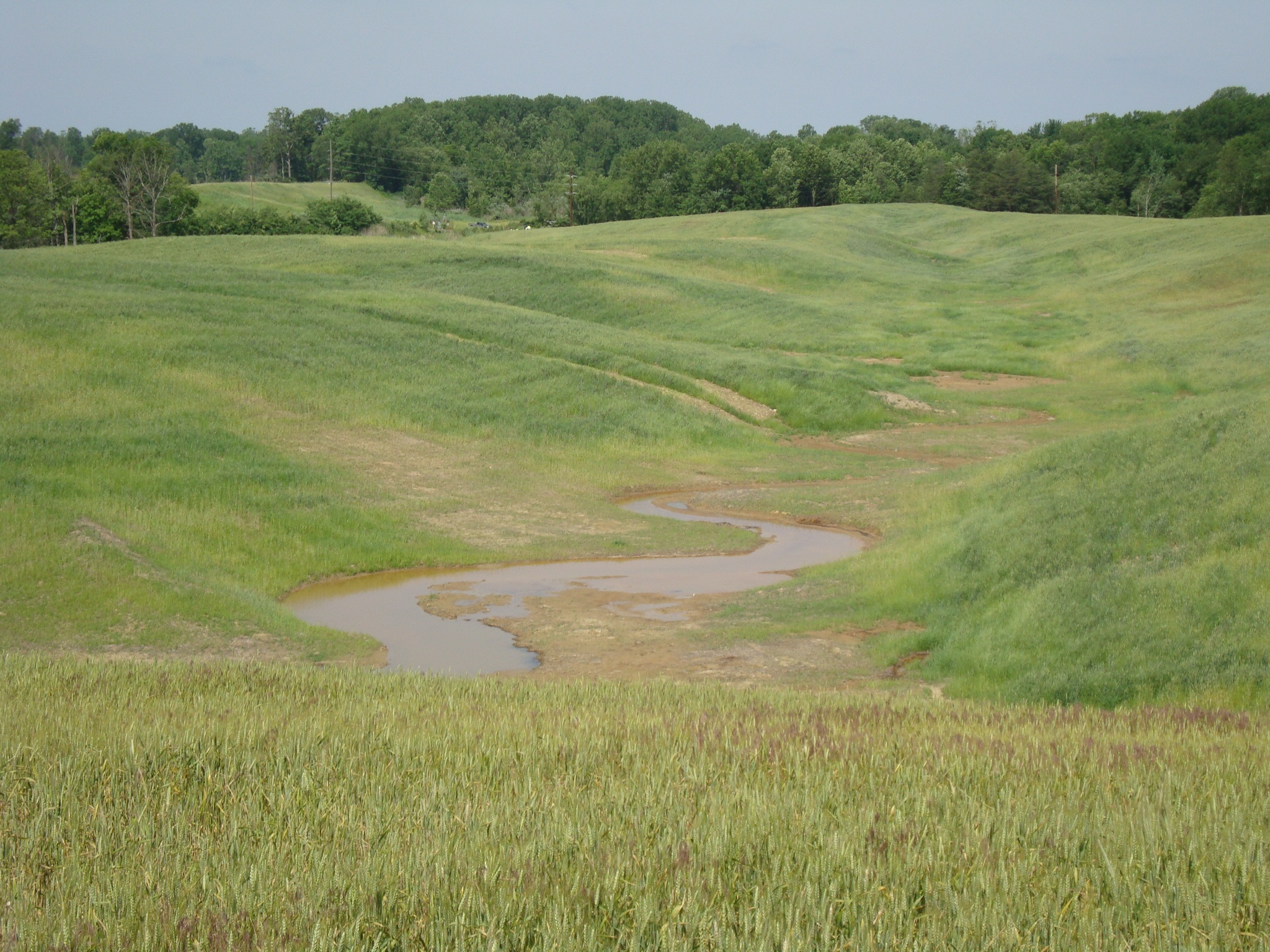 An example of geomorphic design techniques being used