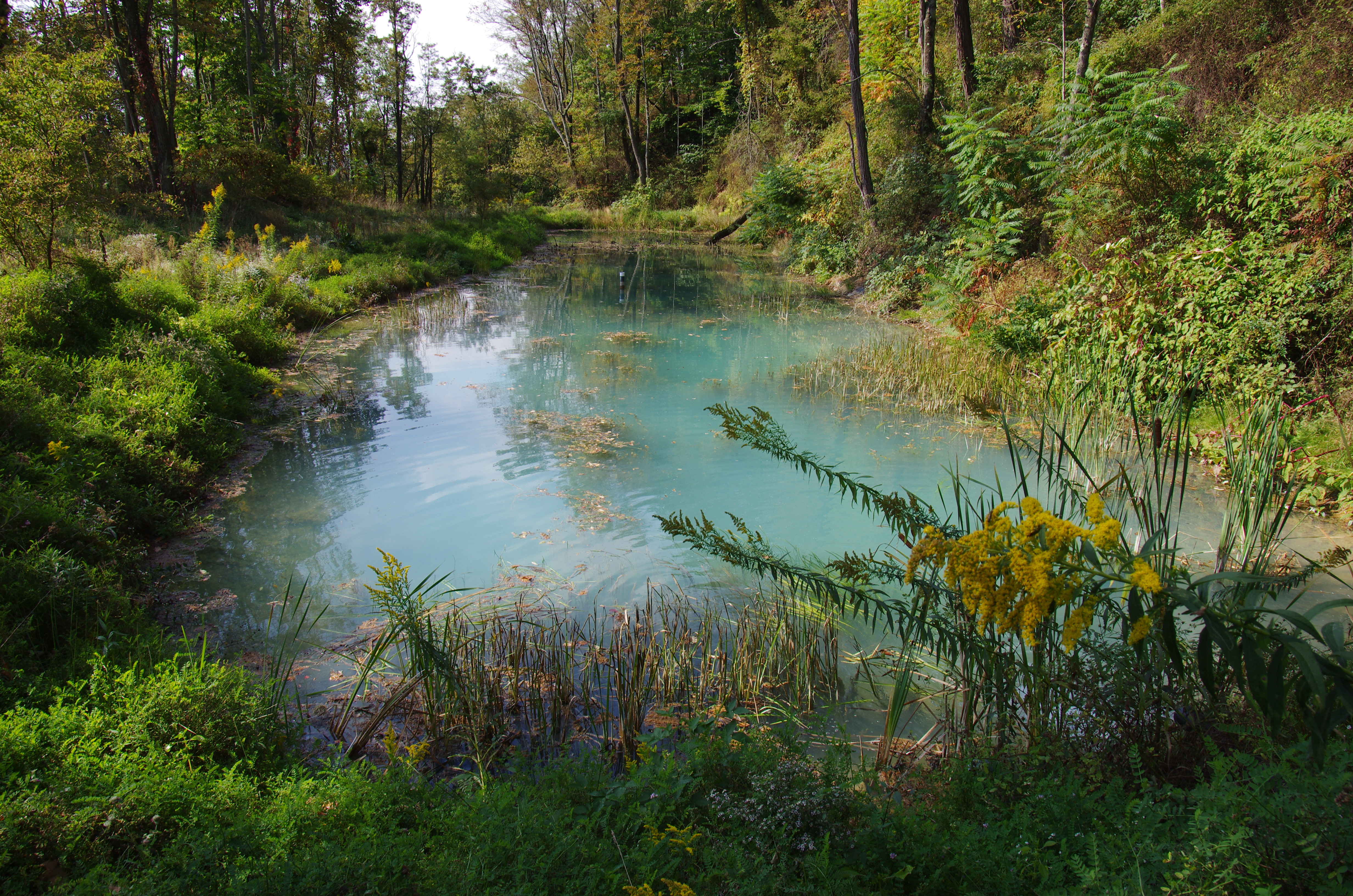 Final oxidizing pond used in watershed AMD remediation project.