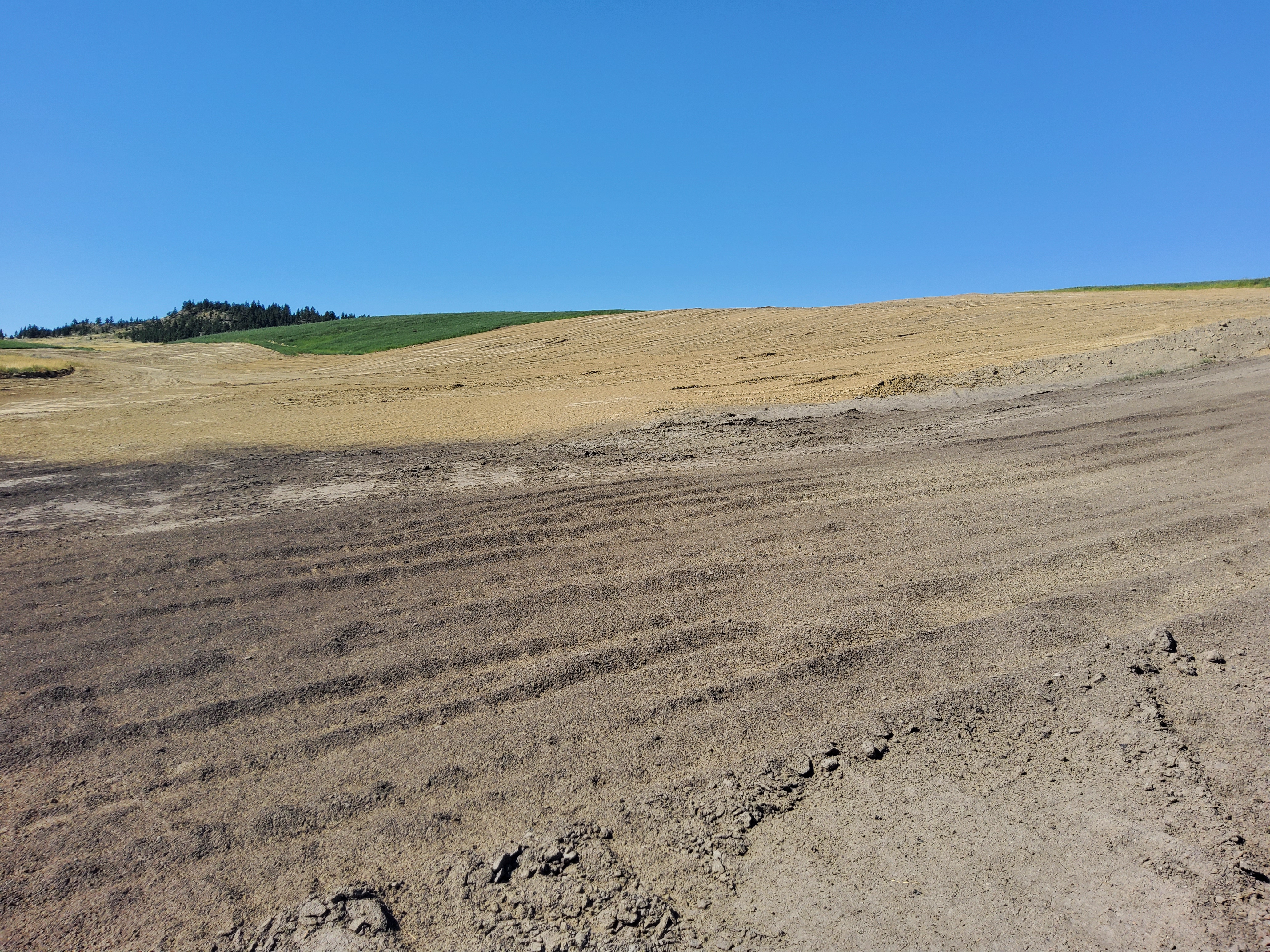 Photograph showing various stages of reclamation at the Absaloka South Mine on Crow Land. From background to foreground it shows undisturbed trees, re-vegetation, topsoil laydown and graded spoil on a hill landscape.