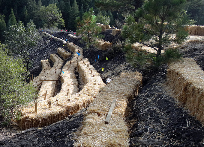 The Tin Pan Canyon Gob Reclamation Project. To reduce erosion from the gob piles, straw-bale terraces were installed, and accompanying seedlings were planted that will eventually reach a vegetated hillside. Photo courtesy of New Mexico Mining and Minerals Division, Abandoned Mine Land Program.