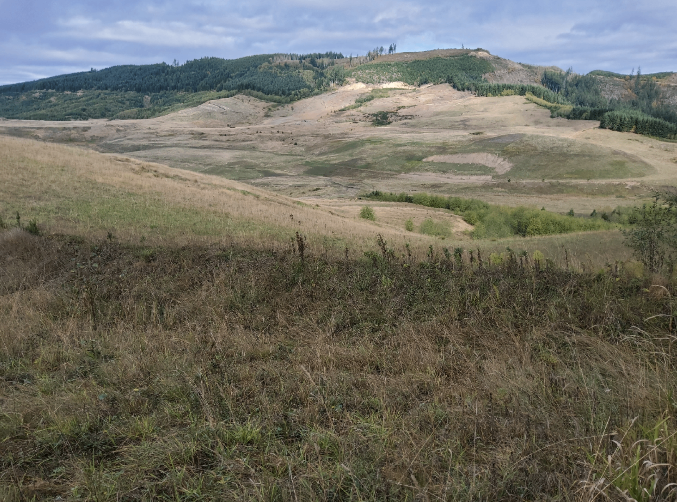Centralia's land is then graded to the approved Post Mine Topography (PMT) that is based off the landscape before mining began, supporting the approved Post-Mine Land Use (PMLU) and approximating the original topography.