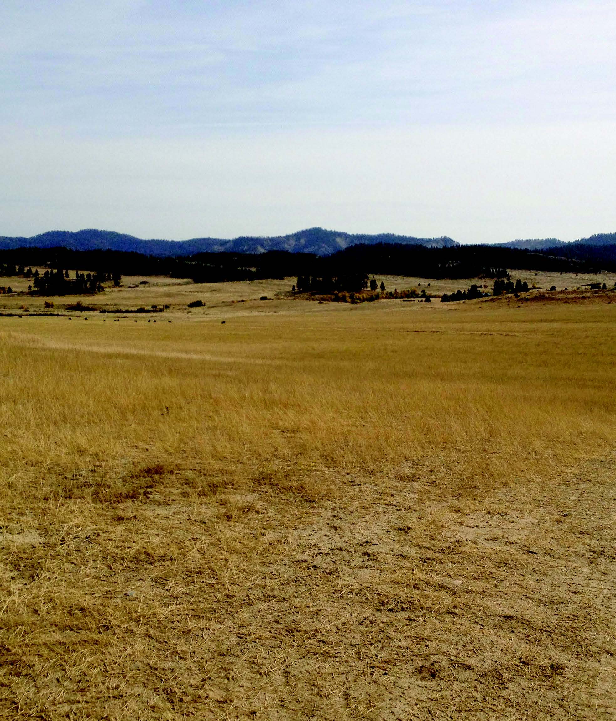 Image of Rosebud Mine from 2018 Environmental Impact Statement