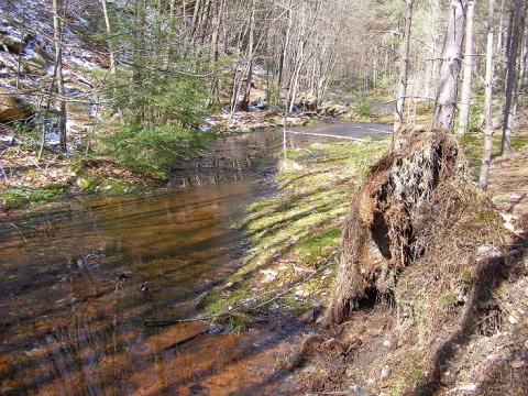 Creek in West Virginia winter