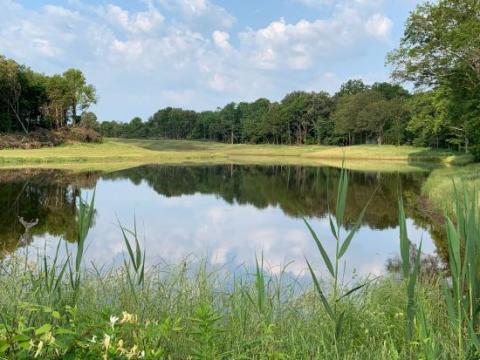 A reclaimed site. Showing a body of water with the reflection of the landscape shown in i.