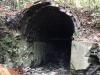 An arched brick mine opening is exposed in the Ohio woods